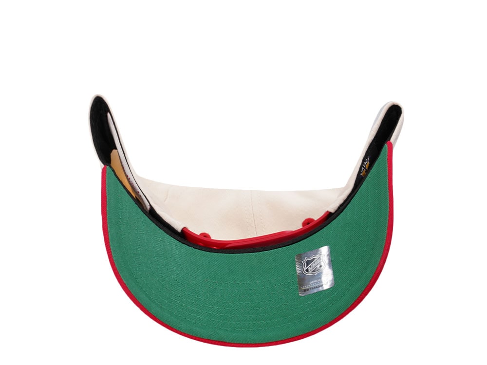 Mitchell & Ness Detroit Red Wings Horizon Two Tone Pro Crown Fit Snapback Hat