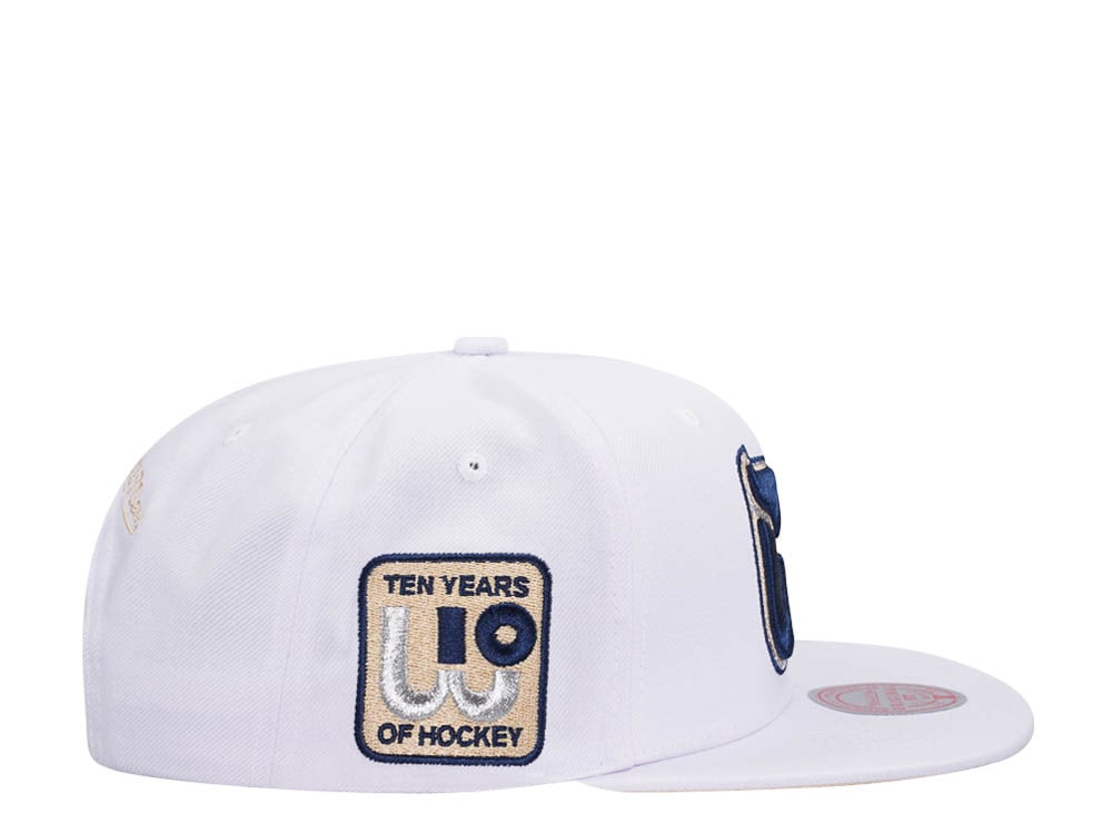 Mitchell & Ness Hartford Whalers 10th Anniversary Winter White Snapback Hat