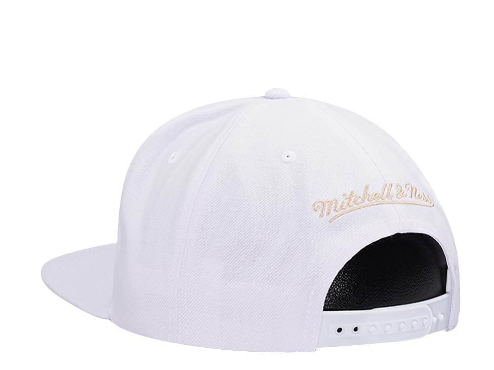 Mitchell & Ness Phoenix Suns 30th Anniversary Winter White Hardwood Classic Snapback Hat