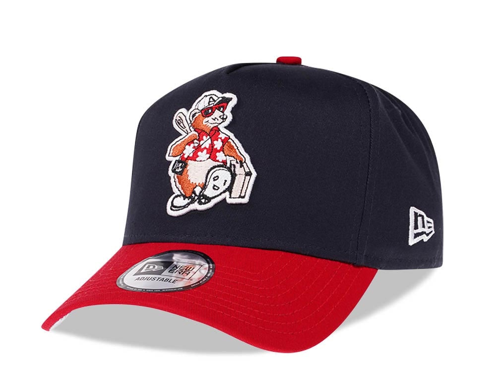 New Era Asheville Tourists Two Tone Prime Edition 9Forty A Frame Snapback Hat