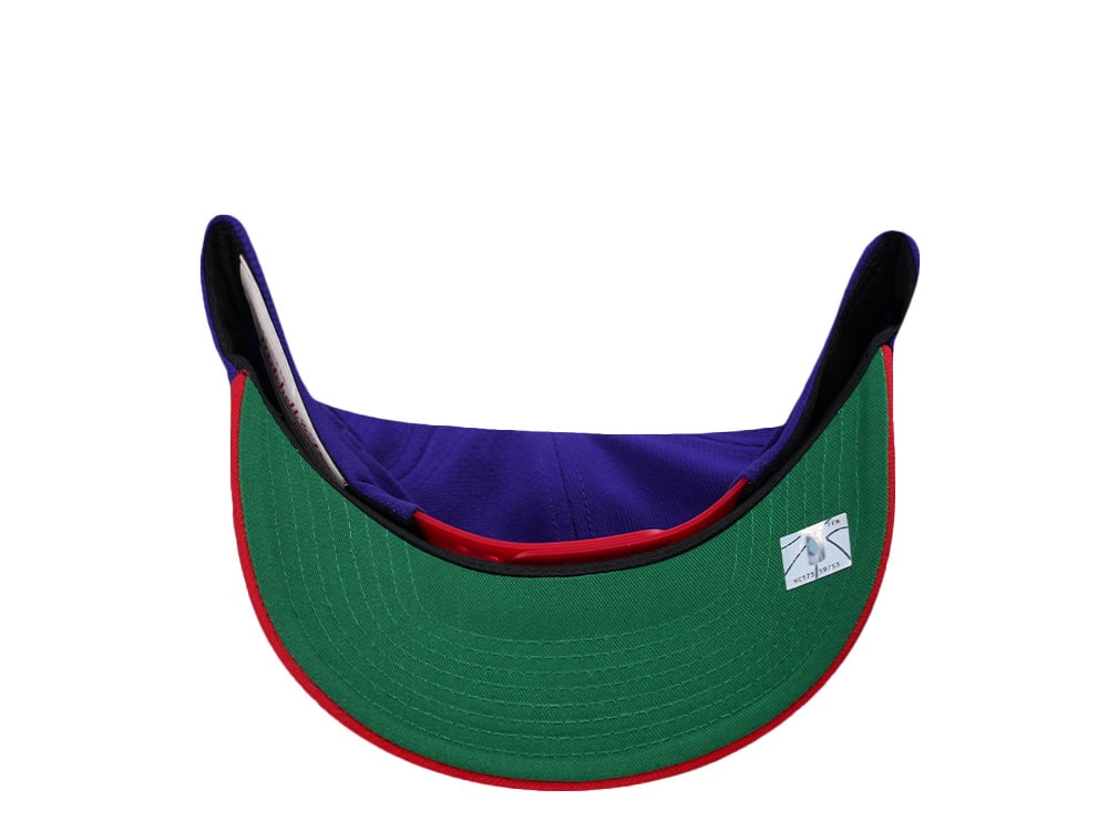 Mitchell & Ness Toronto Raptors Two Tone Pro Crown Fit Snapback Hat