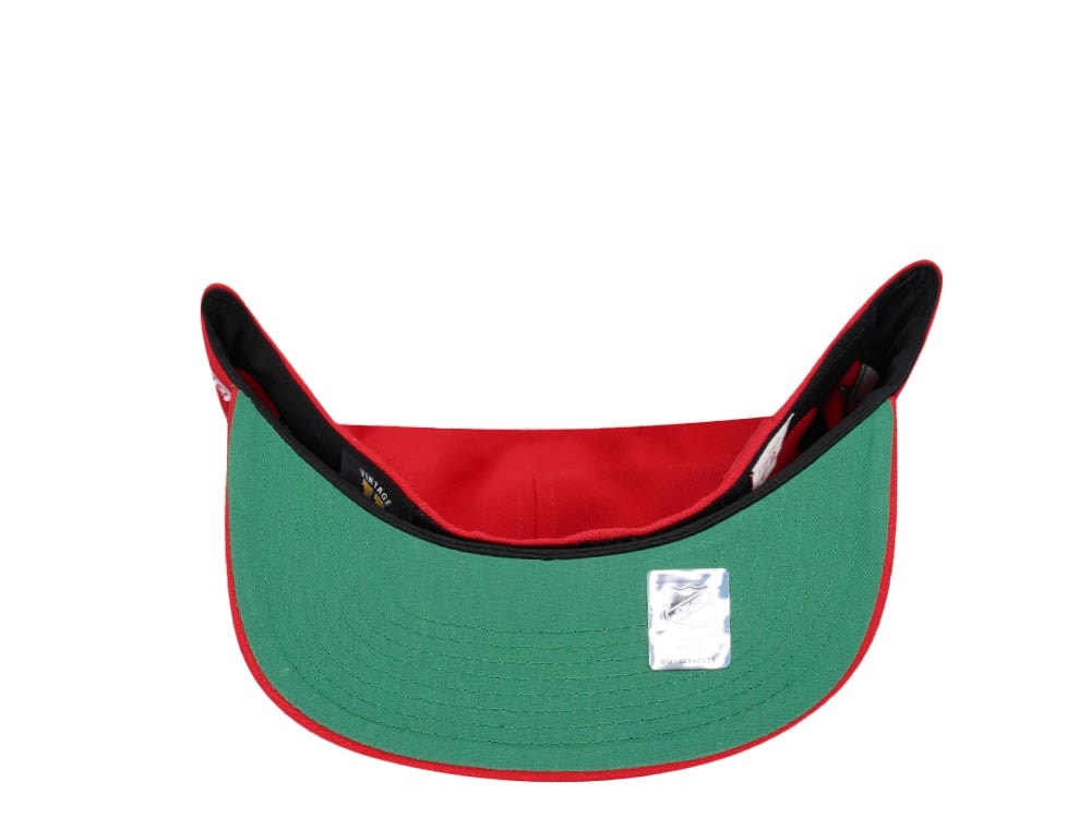 Mitchell & Ness New Jersey Devils 10th Anniversary Vintage Edition Dynasty Fitted Hat