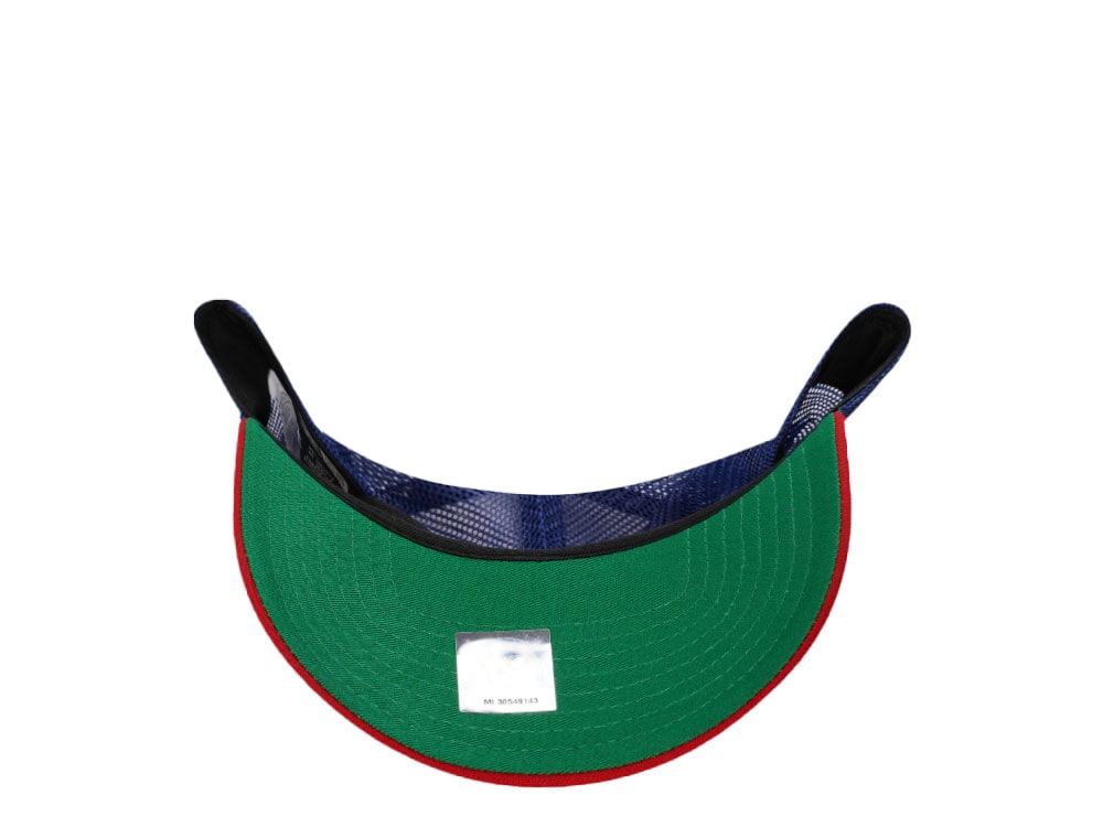 New Era Brevard County Manatees Color Flip Trucker Edition Trucker 9Forty A Frame Snapback Hat