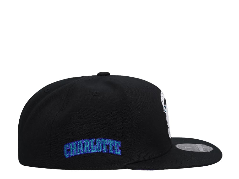 Mitchell & Ness Charlotte Hornets Logo History Hardwood Classic Dynasty Fitted Hat