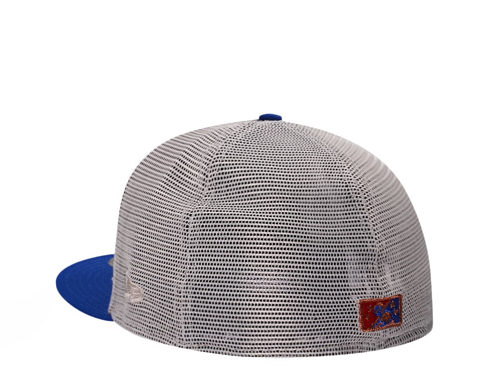 New Era Tennessee Smokies Stone Two Tone Edition Trucker 59Fifty Fitted Hat