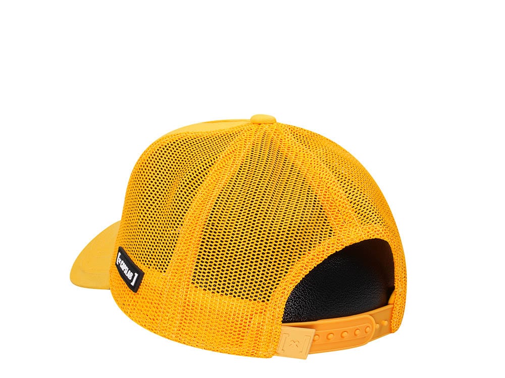 Capslab Looney Tunes Daffy Trucker Snapback Hat