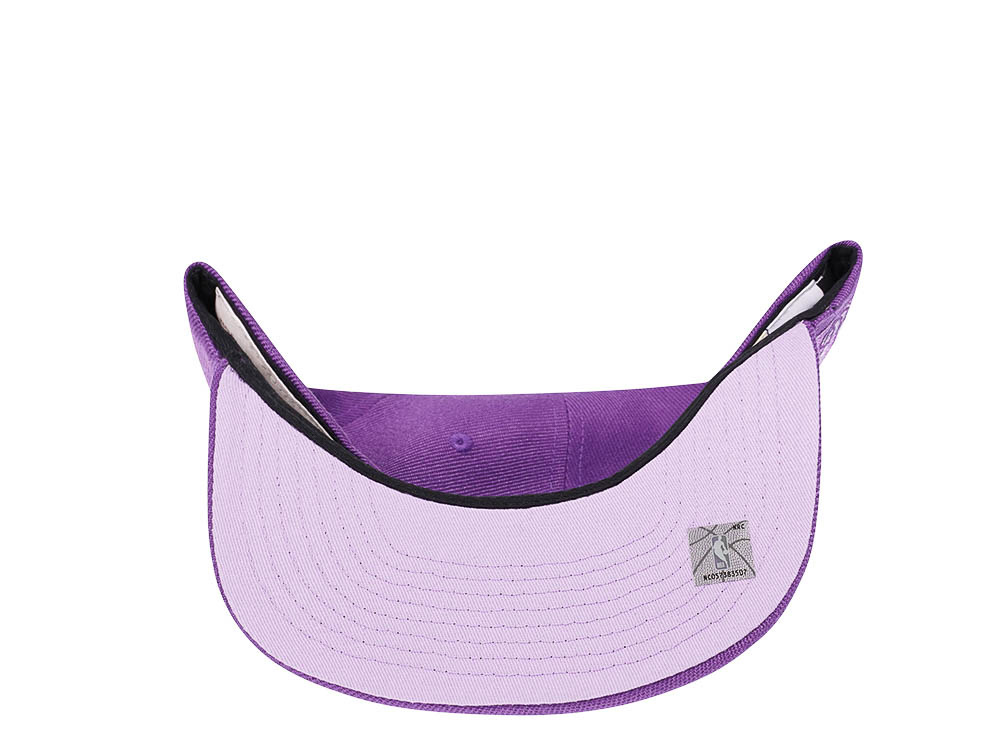 Mitchell & Ness Milwaukee Bucks Purple Hardwood Classic Snapback Hat