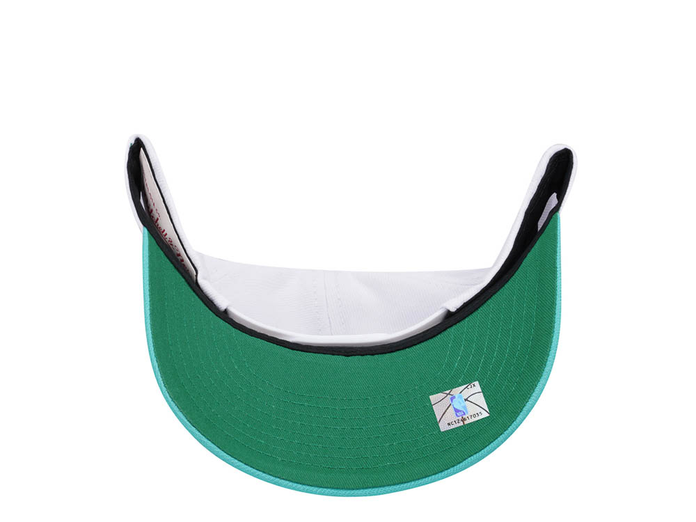 Mitchell & Ness Vancouver Grizzlies Team Two Tone 2.0 Pro Snapback Hat