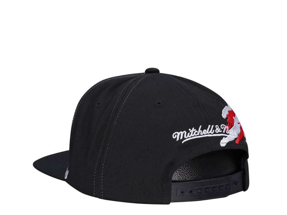Mitchell & Ness Detroit Red Wings Vintage Paintbrush Snapback Hat