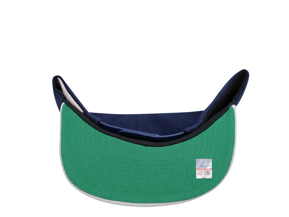 Mitchell & Ness Howard University Bison Team Two Tone 2.0 Snapback Hat