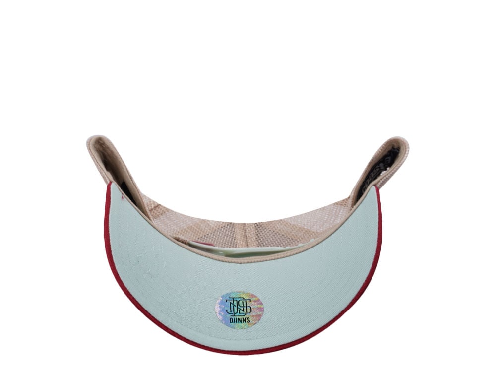 Djinns HFT High Lines Offwhite Two Tone Edition Trucker Snapback Cap