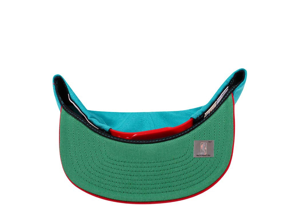 Mitchell & Ness Vancouver Grizzlies Hardwood Classics 2 Tone Snapback Hat