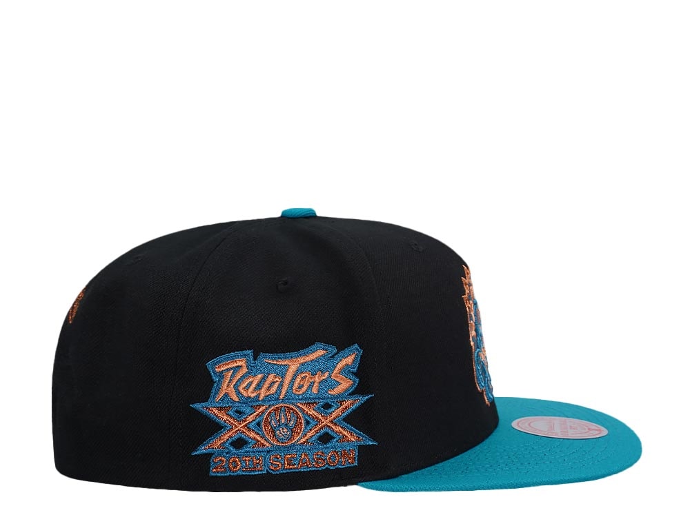 Mitchell & Ness Toronto Raptors 20th Anniversary Make Cents Black Two Tone Hardwood Classic Snapback Hat