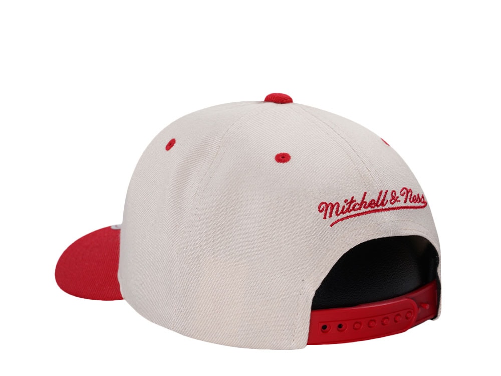 Mitchell & Ness Detroit Red Wings Chrome Two Tone Pro Crown Fit Snapback Hat