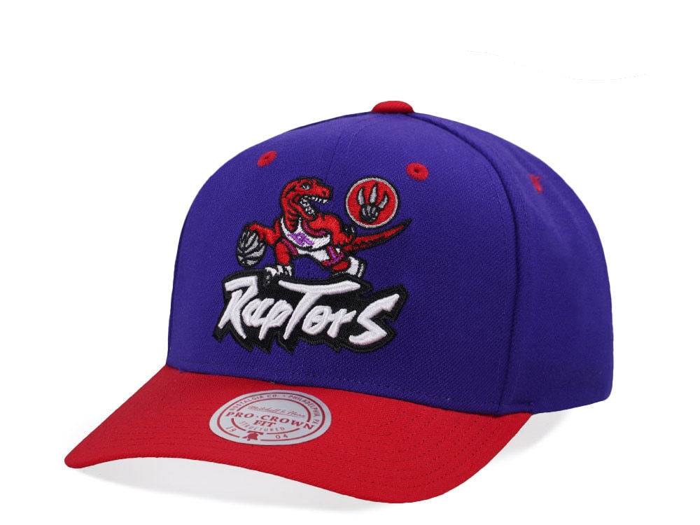Mitchell & Ness Toronto Raptors Two Tone Pro Crown Fit Snapback Hat