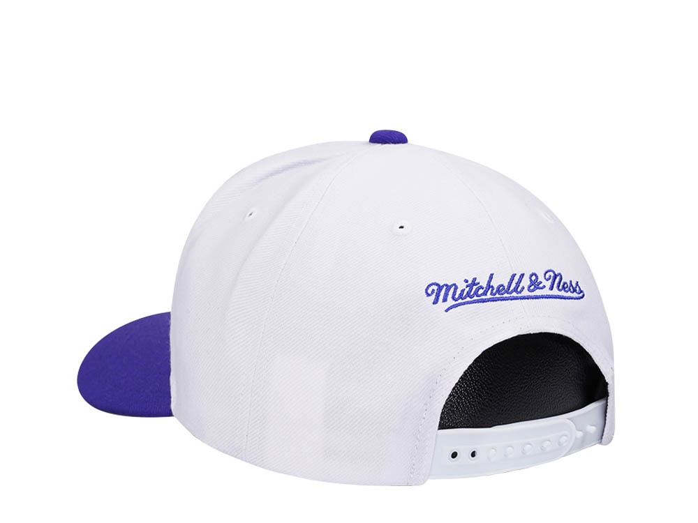Mitchell & Ness Charlotte Hornets Team Two Tone 2.0 Pro Snapback Hat