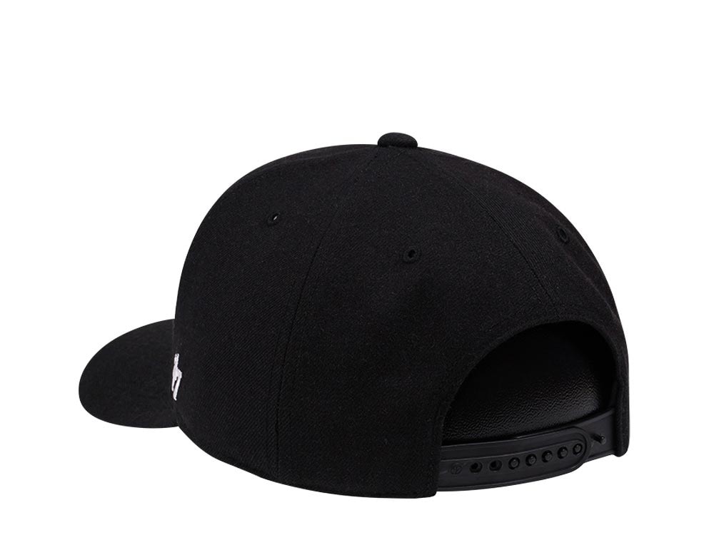 47Brand Carolina Hurricanes Classic DP Black Cold Zone Snapback Hat