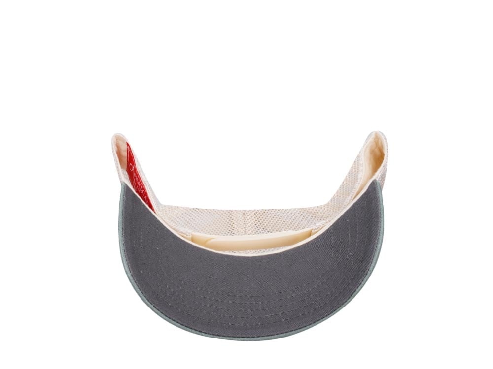 American Needle Vermont Domino Ivory Cool Gray Cedar Trucker Snapback Hat