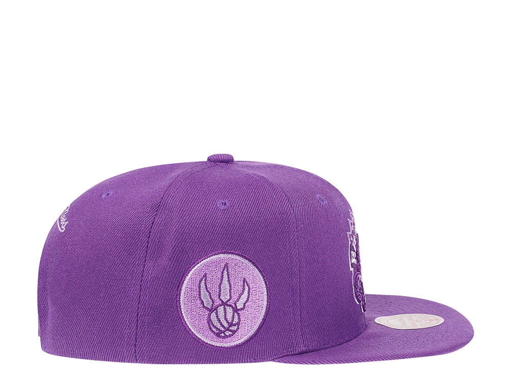 Mitchell & Ness Toronto Raptors Purple Hardwood Classic Snapback Hat