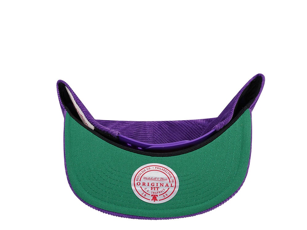 Mitchell & Ness Charlotte Hornets Purple Cord Hardwood Classic Snapback Hat