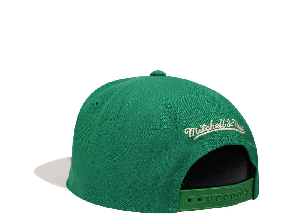 Mitchell & Ness Milwaukee Bucks Team Two Tone 2.0 Snapback Hat
