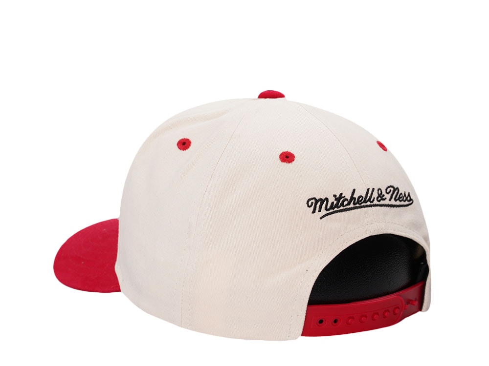 Mitchell & Ness Detroit Red Wings Horizon Two Tone Pro Crown Fit Snapback Hat