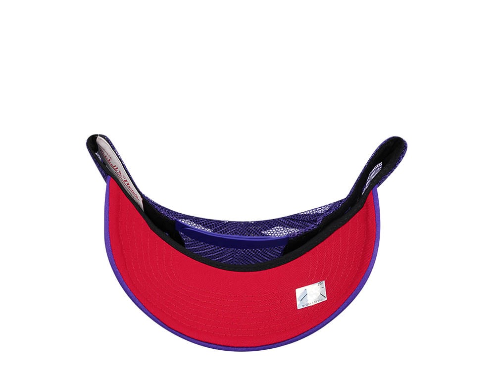 Mitchell & Ness Toronto Raptors Purple Billboard Trucker Snapback Hat