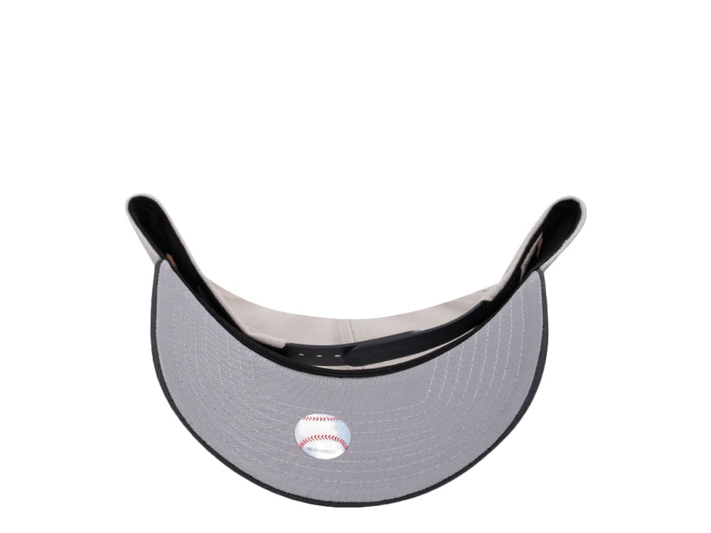 New Era Minnesota Twins Inaugural Season 2010 Metallic Two Tone Edition 9Forty A Frame Snapback Hat